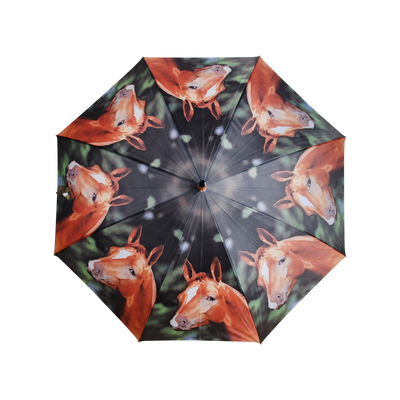 Paraguas Animales de Granja Color